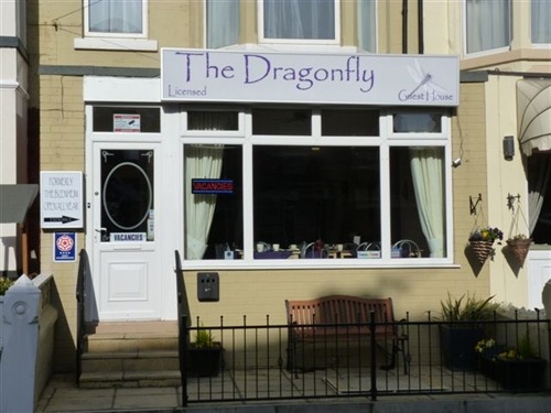 The Dragonfly